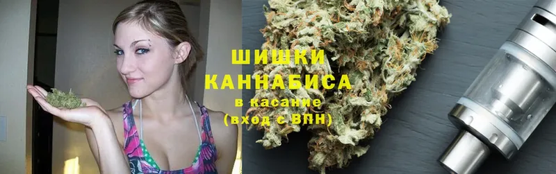 Бошки марихуана SATIVA & INDICA  маркетплейс какой сайт  Котовск  наркошоп 